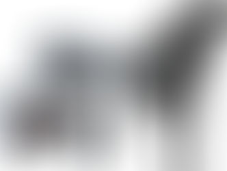 Lancement des nouveaux Fers 716 et Hybrides 816