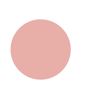 CIRCLE PINK.png