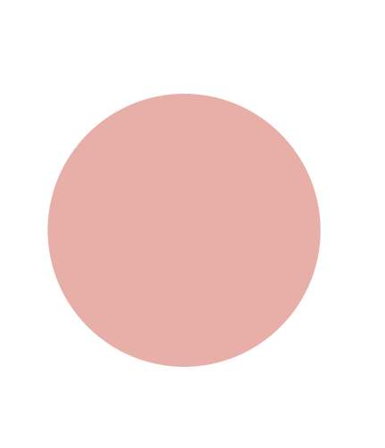 CIRCLE PINK.png