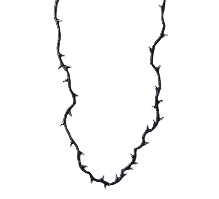emilia santaella_'Bramble thorn in dark'