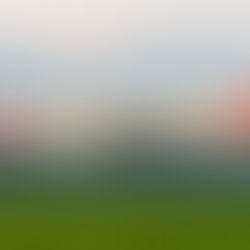 Copa Airlines elige a Starlink para ofrecer Wi-Fi a bordo desde 2026