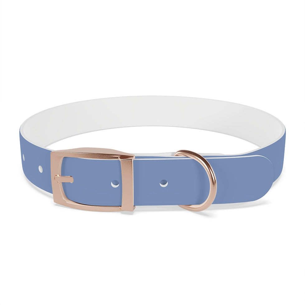 Thumbnail: Dog for Kamala Harris Collar