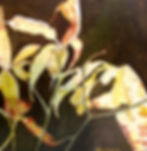 Garden Leaves - $275