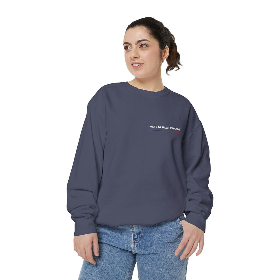Thumbnail: USA Crew Neck Sweatshirt | Alpha Ridge Training Patriotic Collection