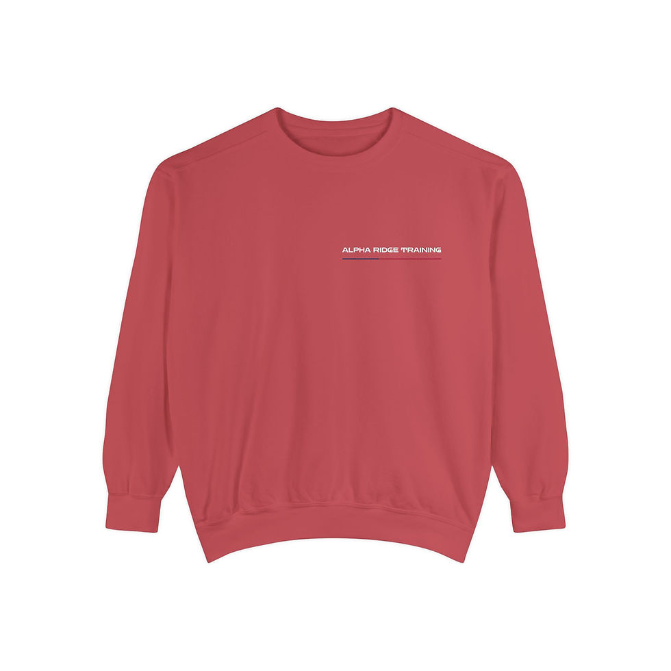 Thumbnail: USA Crew Neck Sweatshirt | Alpha Ridge Training Patriotic Collection