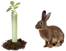 Coelho+tubo