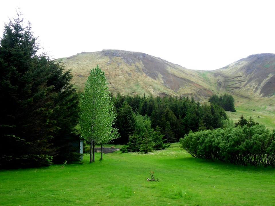 Selskógur og fellið Þorbjörn