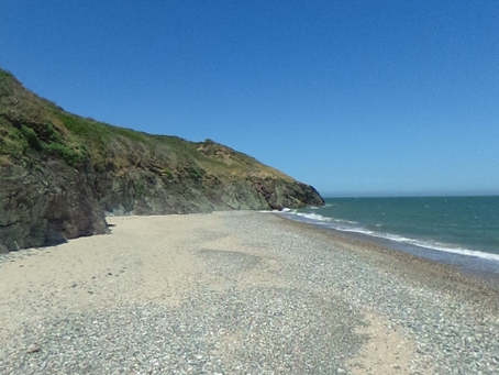 The Wexford UFOs that buzzed Clones Strand and 'mimicked a car'