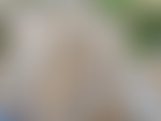 Huge scale of €2 billion migrant encampments being built in Ireland exposed by drone operator