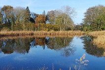 Hermitage Fisheries