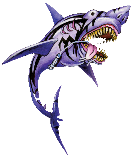 illustration requin