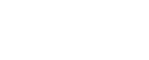 SW Main Logo White.png