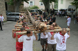 IMG_5966.jpg