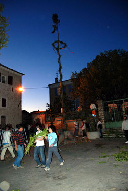 DSC_0222.JPG