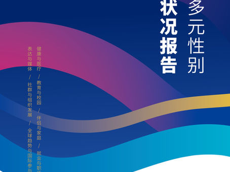 《中国多元性别权益状况报告》