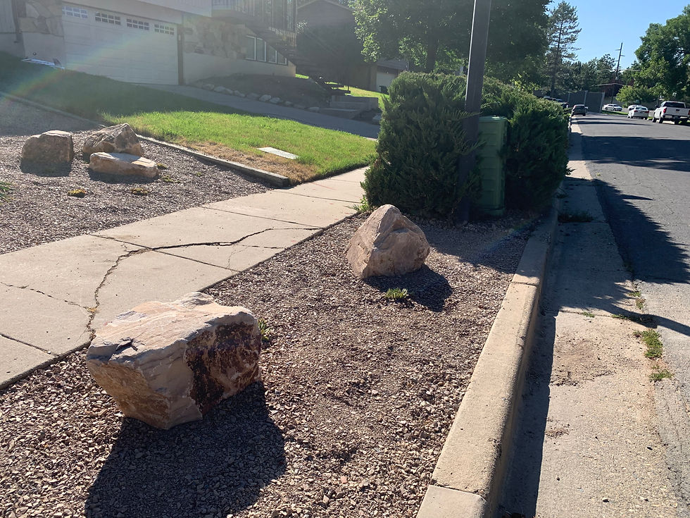 Front Yard