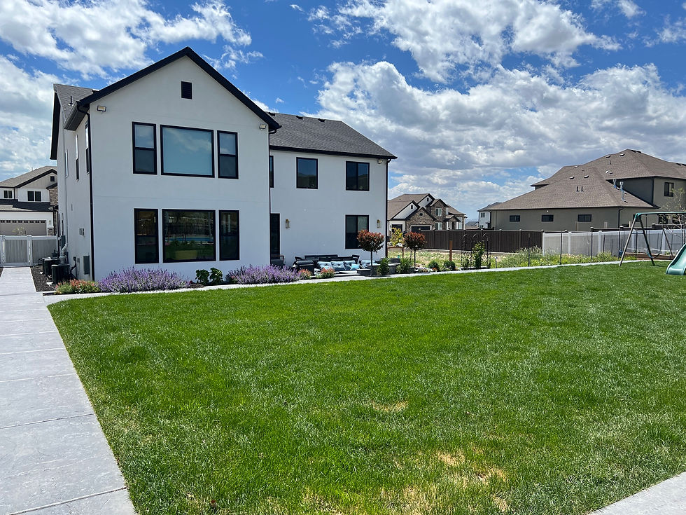 Back Yard