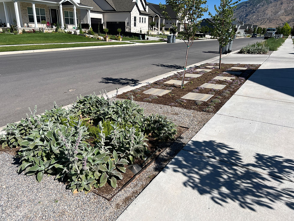 Left side park strip