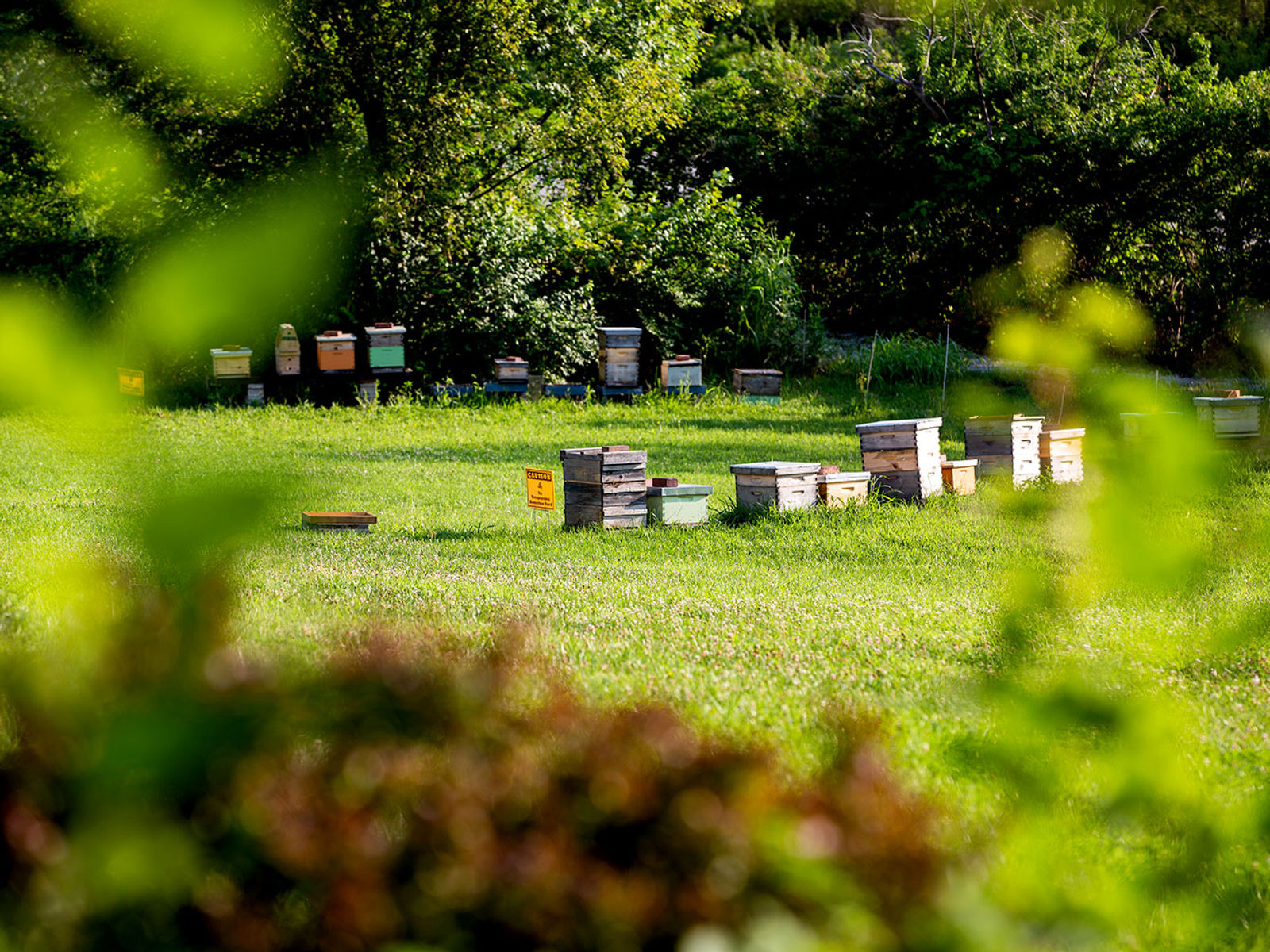 Messner Bee Farm - Raytown Farm Store!