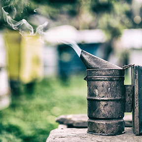 AdobeStock_166915569.jpeg