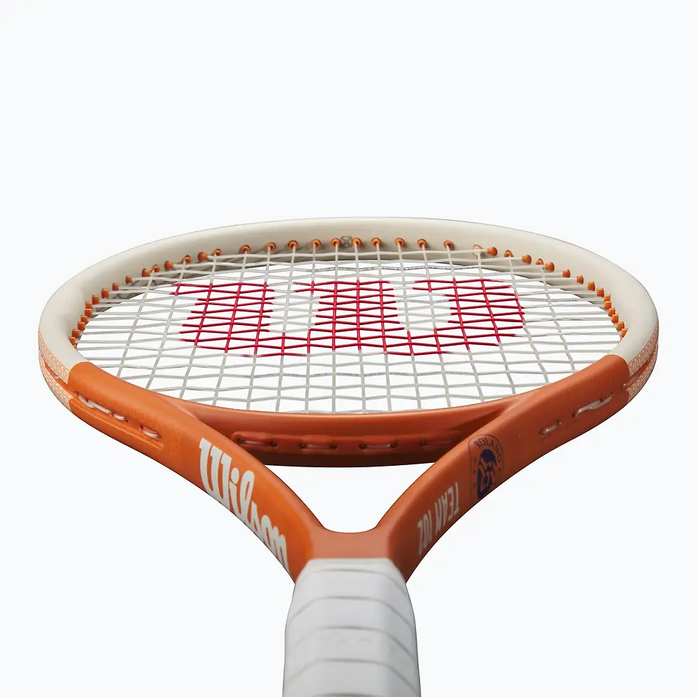 תמונה ממוזערת: מחבט טניס וילסון Wilson Roland Garros Team 102