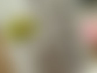 Cards for Care Edmonton: August 2025 Newsletter