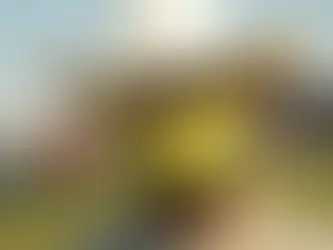 JJ Jukeboxin äärellä bluegrassin juurilla