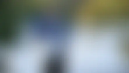 Ei eksy taivaan lintukaan" – Roy Westmanin kunnianosoitus Kari Tapiolle