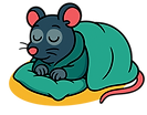 RAT1048_edited.png