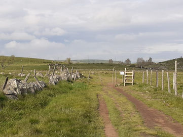Compostelle en Aubrac, le retour