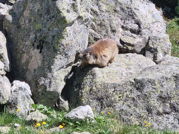 L'Oisans, plateau d'Emparis, lac d'Arsine et du Goléon