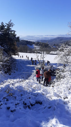vers le pré aux vaches