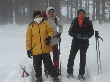 Premières  traces raquettes