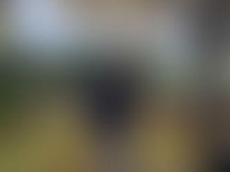 Monistrol, dimanche 9 novembre