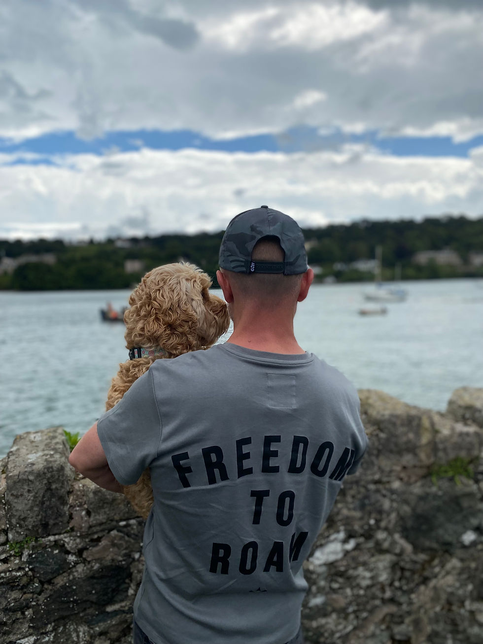 Thumbnail: Freedom To Roam Grey Printed Hoodie