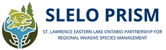 SLELO-PRISM.png