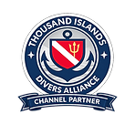 Channel Partner Logo.png