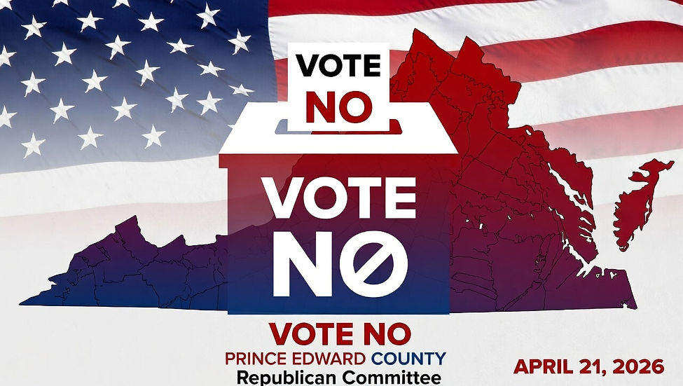 Redistricting VOTE NO
