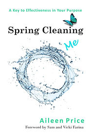 Spring Cleaning Me: A Key to Effectiveness in Your Purpose