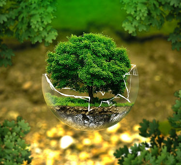 MicrosoftTeams-image (3).png