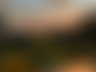 Costa Rica - Monteverde Cloud forest