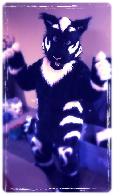 Rawr! Fullsuit