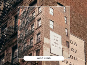 Understanding Wise Mind: The Balance of Our Emotions and Our Logic