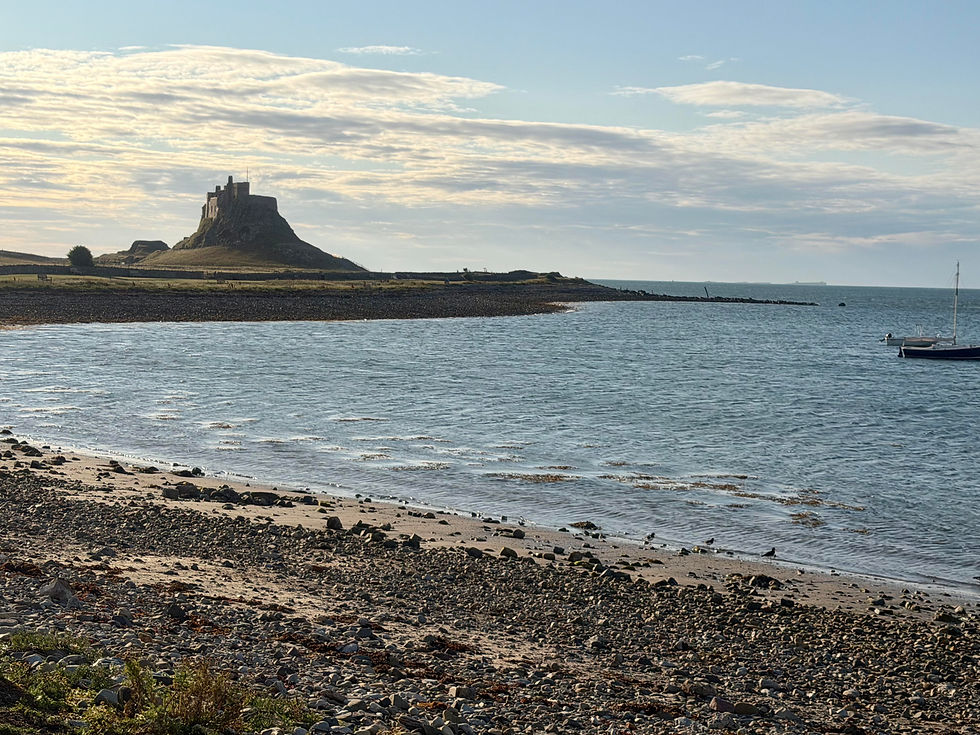 Reference photo for lindesfarne painting