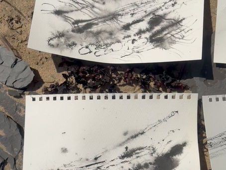Creative Field Notes #1 Sketching with the Sea