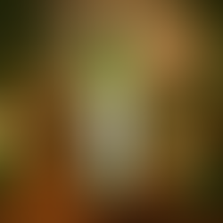 Karpooradi Thailam Ayurvedic oil bottle with traditional herbal ingredients and brass containers background