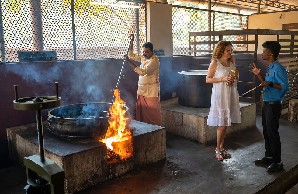 Nattika Life - A herbal oil factory.jpg