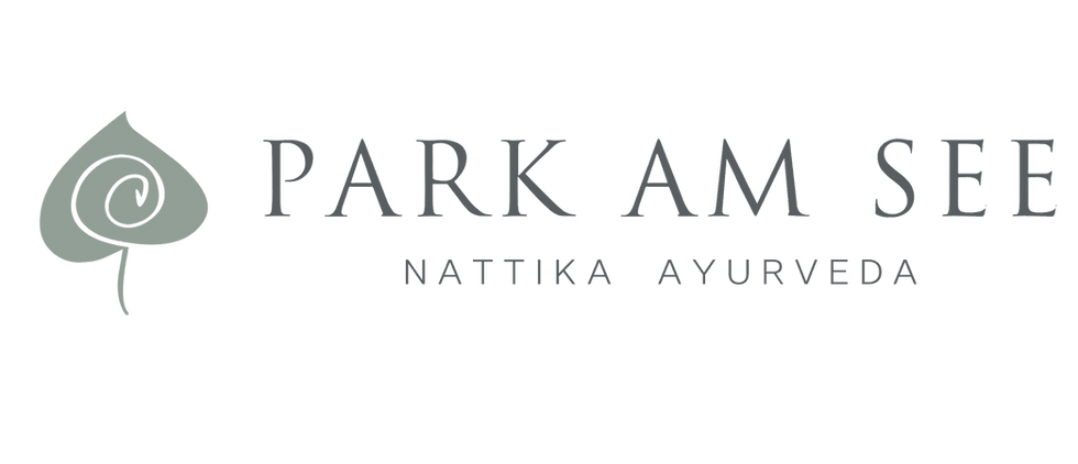 park-am-see-2x1.png