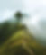 Solitary Hiker in Misty Mountains.jpeg