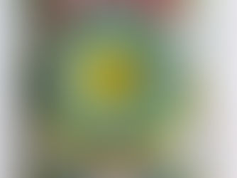 An Interview With Our Photographer Holly Burnston